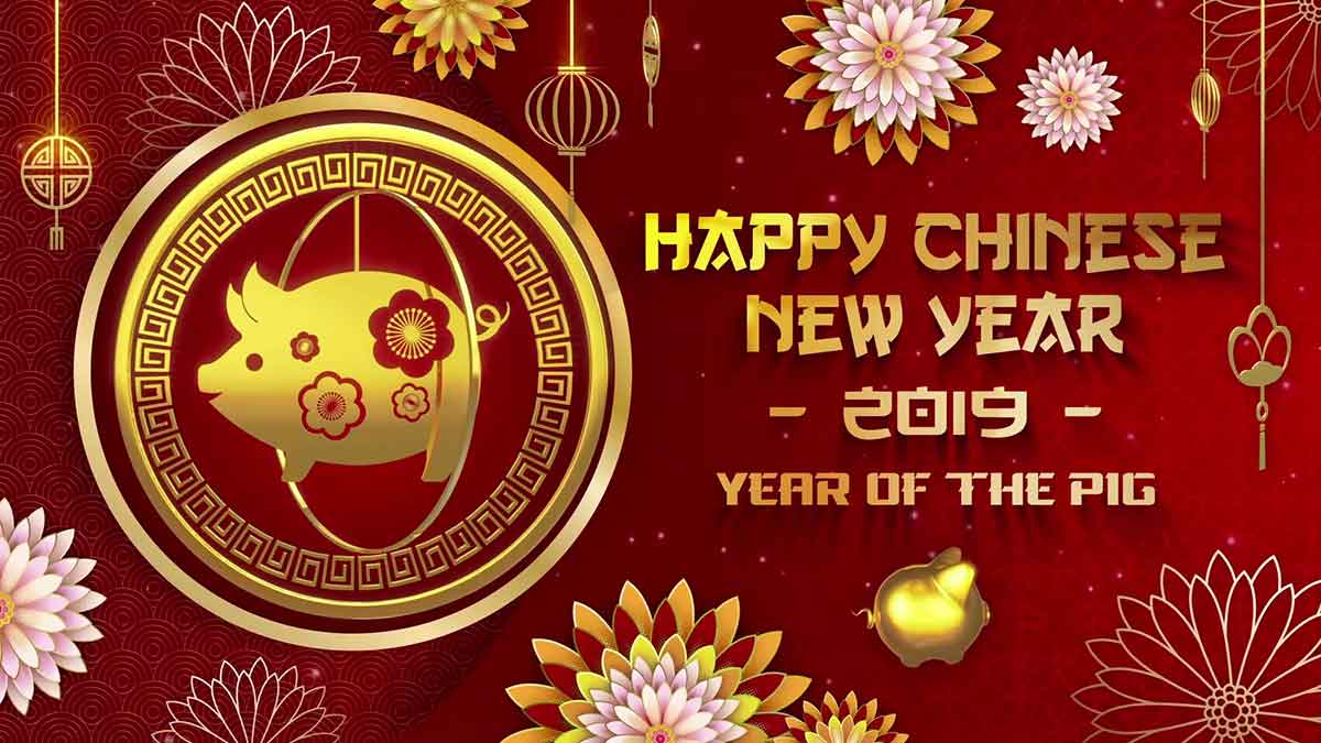 2019 Year of the Pig